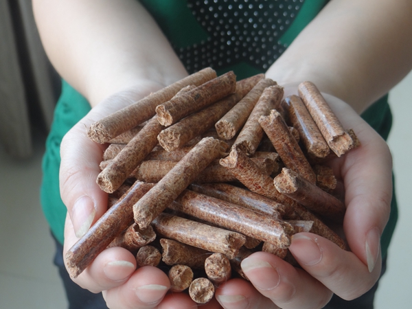 Develop biomass energy and turn agricultural waste into treasure